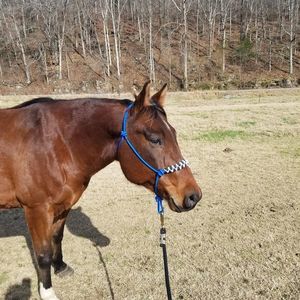 Meet your Posher, Meagan